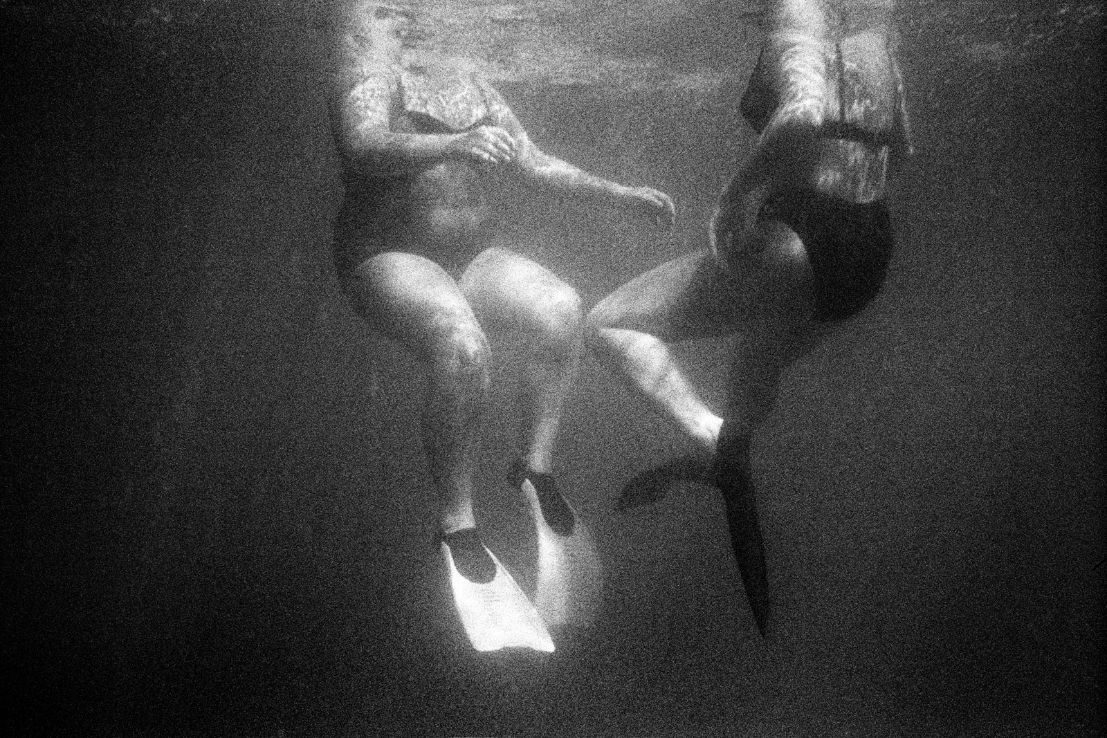 Ladies Underwater Carla Coulson